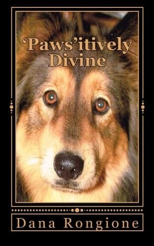 Tapa de 'Paws'itively Divine
