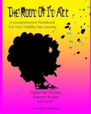 Tapa de The Root Of It All