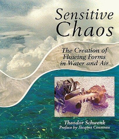 Tapa de Sensitive Chaos