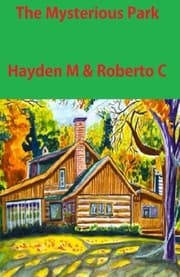 Tapa de The Mysterious Park