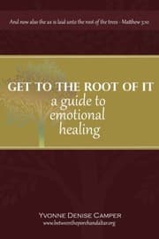 Tapa de Get to the Root of It