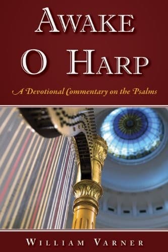 Tapa de Awake O Harp