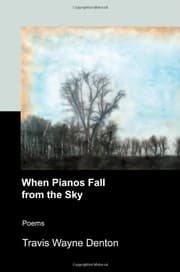 Tapa de When Pianos Fall from the Sky
