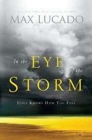 Tapa de In the Eye of the Storm