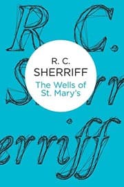 Tapa de The Wells of St Mary's