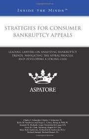 Tapa de Strategies for Consumer Bankruptcy Appeals