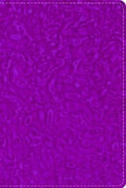 Tapa de GW Compact Bible Raspberry Swirl Duravella