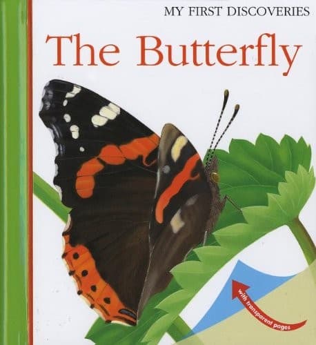 Tapa de The Butterfly