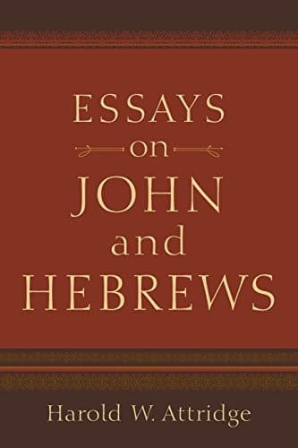 Tapa de Essays on John and Hebrews