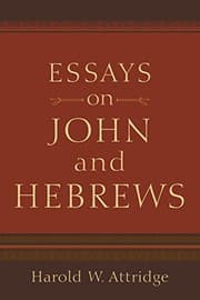 Tapa de Essays on John and Hebrews