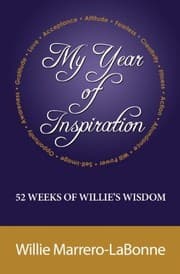 Tapa de My Year of Inspiration