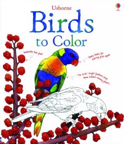 Tapa de Birds to Color