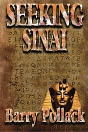 Tapa de Seeking Sinai