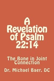 Tapa de A Revelation of Psalm 22