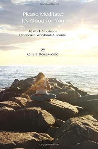 Tapa de Please Meditate