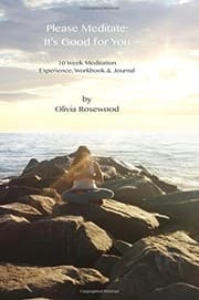 Tapa de Please Meditate