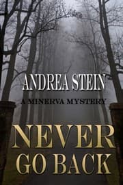 Tapa de Never Go Back