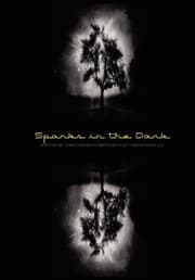 Tapa de Sparks In The Dark