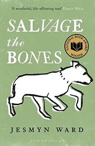 Tapa de Salvage the Bones