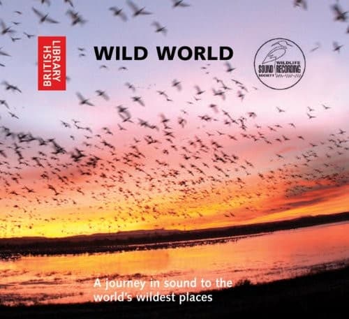 Tapa de Wild World