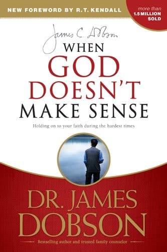 Tapa de When God Doesn't Make Sense