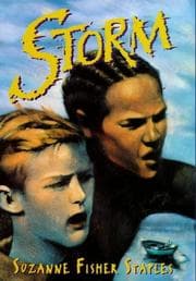 Tapa de Storm