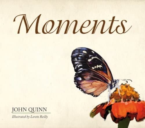 Tapa de Moments