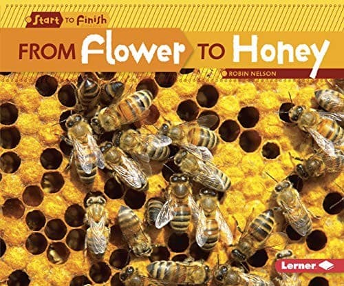Tapa de From Flower to Honey