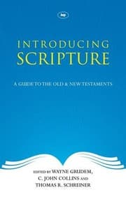 Tapa de Introducing Scripture