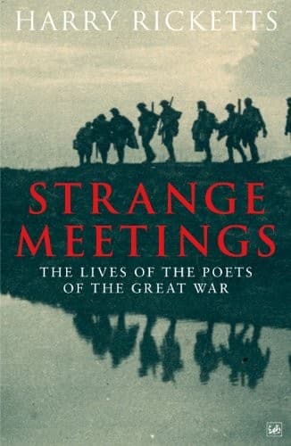 Tapa de Strange Meetings