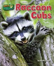 Tapa de Raccoon Cubs