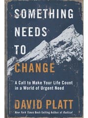 Tapa de Something needs to change