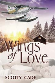 Tapa de Wings of Love