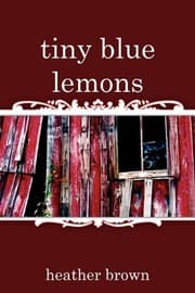 Tapa de tiny blue lemons