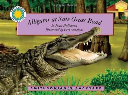 Tapa de Alligator at Saw Grass Road  )