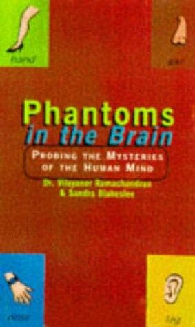 Tapa de Phantoms in the Brain