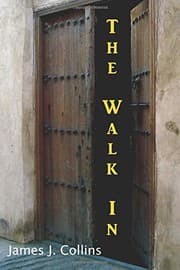 Tapa de The Walk In