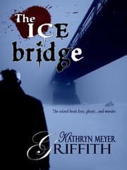Tapa de The Ice Bridge