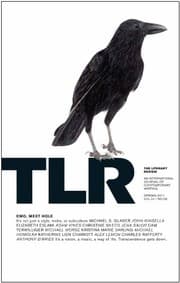 Tapa de The Literary Review