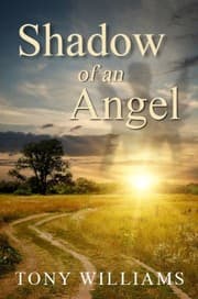 Tapa de Shadow of an Angel