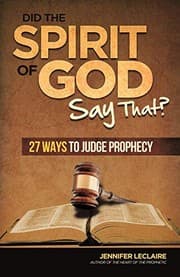 Tapa de Did the Spirit of God Say That?