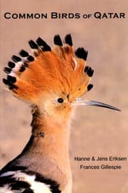 Tapa de Common Birds of Qatar
