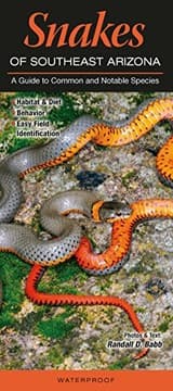 Tapa de Snakes of Southeast Arizona