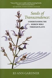 Tapa de Seeds of Transcendence