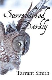 Tapa de Surrendered Darkly