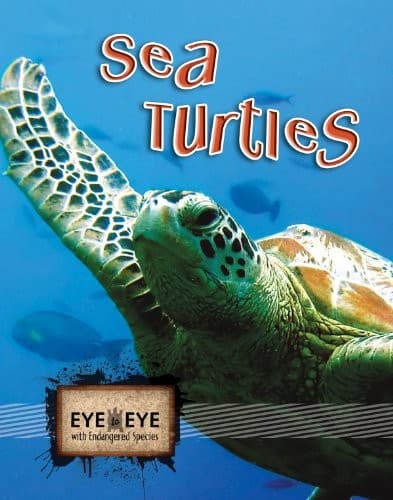 Tapa de Sea turtles