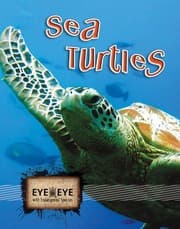 Tapa de Sea turtles
