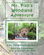 Tapa de Mr. Pish's Woodland Adventure