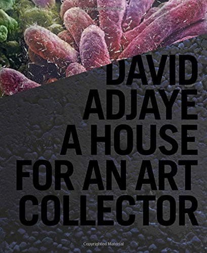 Tapa de David Adjaye
