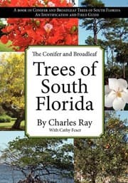 Tapa de The Conifer and Broadleaf Trees of the South